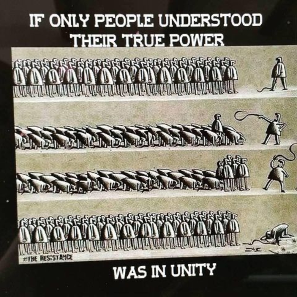 Meet your Posher, Menasse